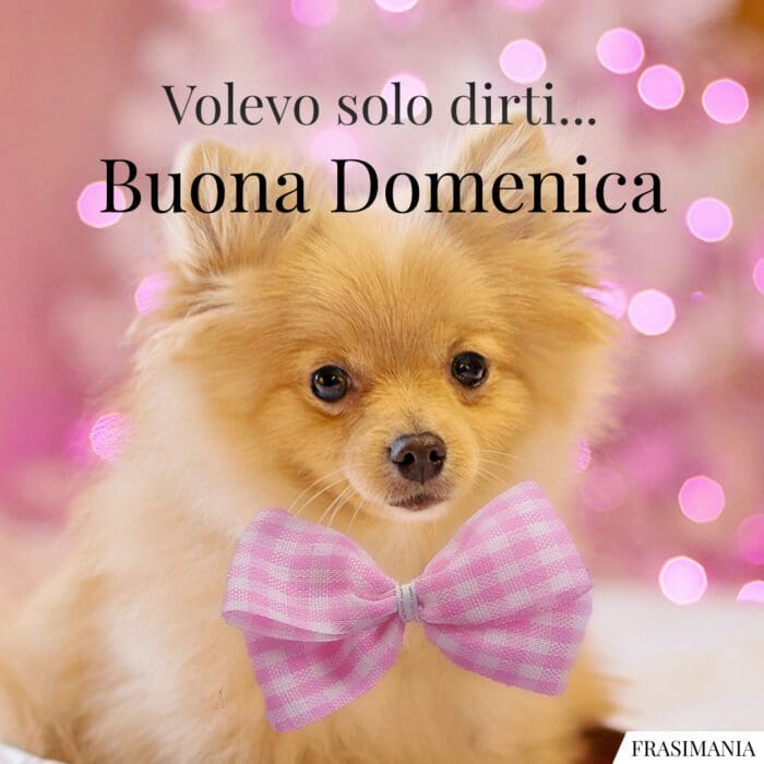Volevo solo dirti… Buona Domenica.