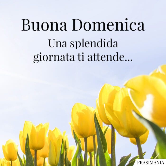 Buona Domenica. una splendida giornata ti attende…