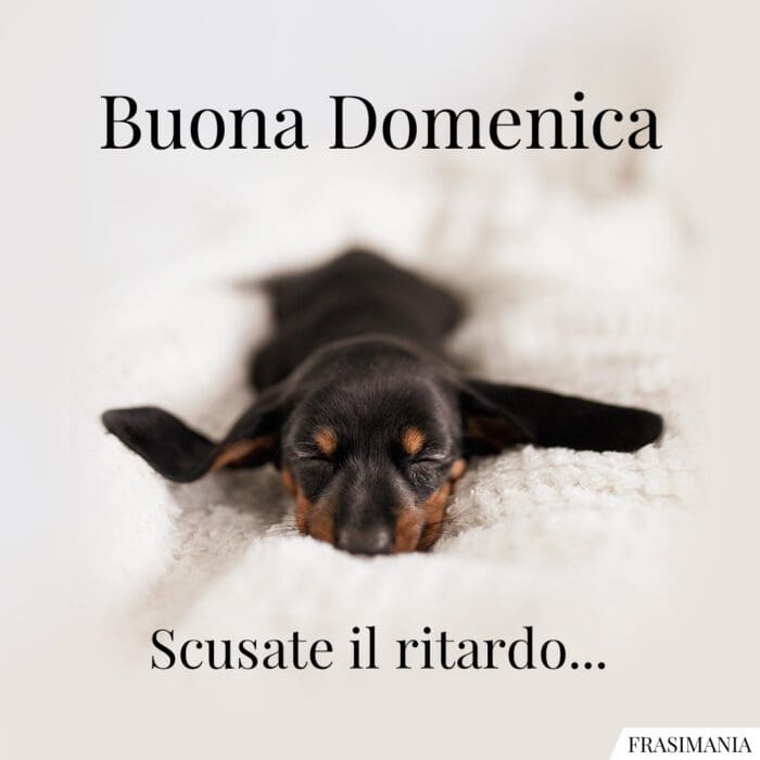 Buona Domenica. Scusate il ritardo…