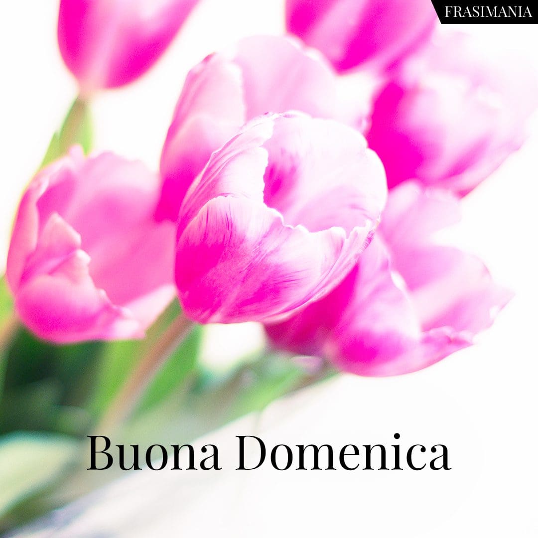 Buona Domenica.