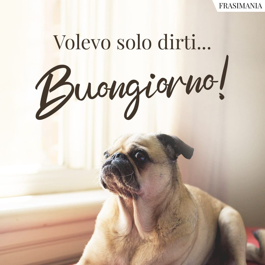 Volevo solo dirti... Buongiorno!