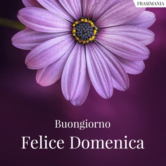 Buongiorno. Felice Domenica.