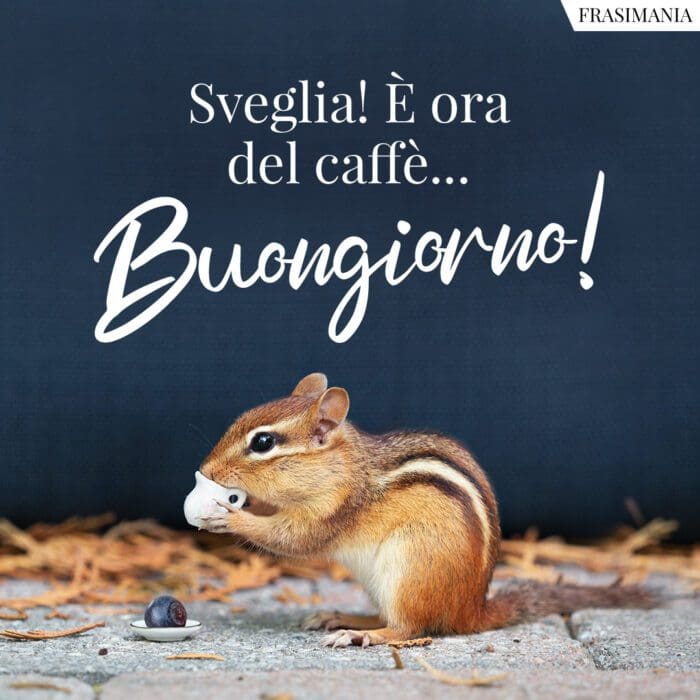 Buongiorno sveglia caffè