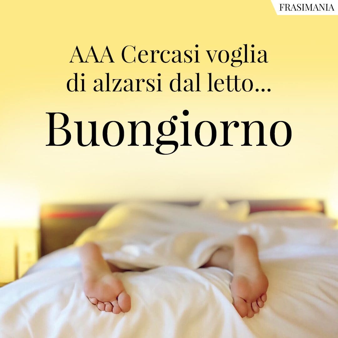 AAA Cercasi voglia di alzarsi dal letto... Buongiorno.