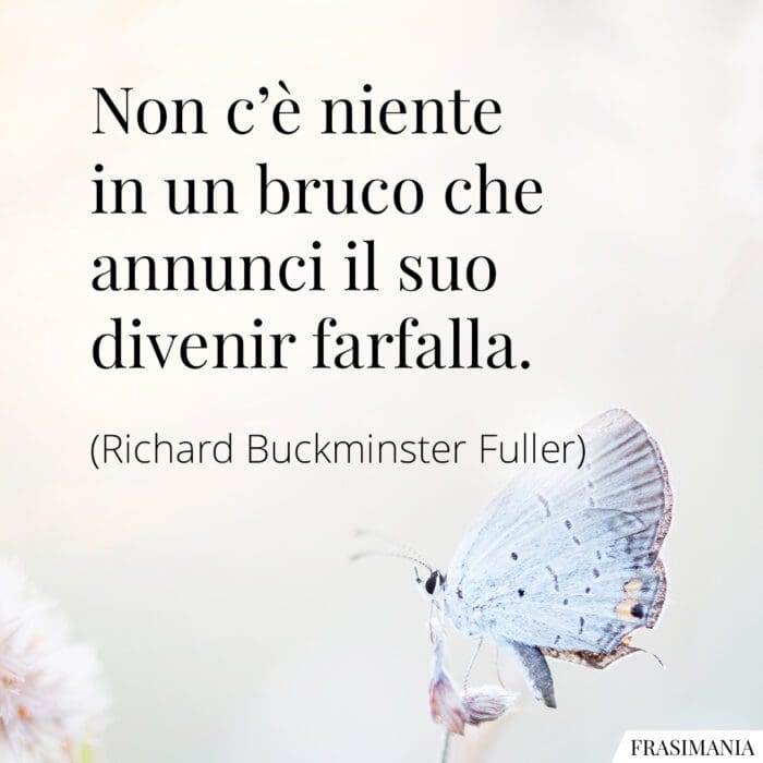 frasi-bruco-farfalla-fuller