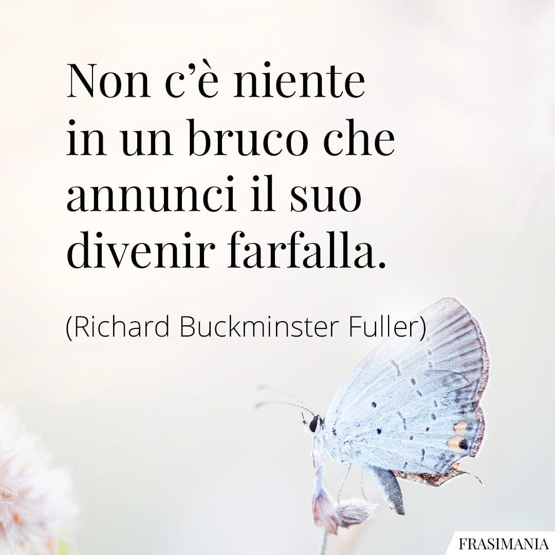 Non c'è niente in un bruco che annunci il suo divenir farfalla.