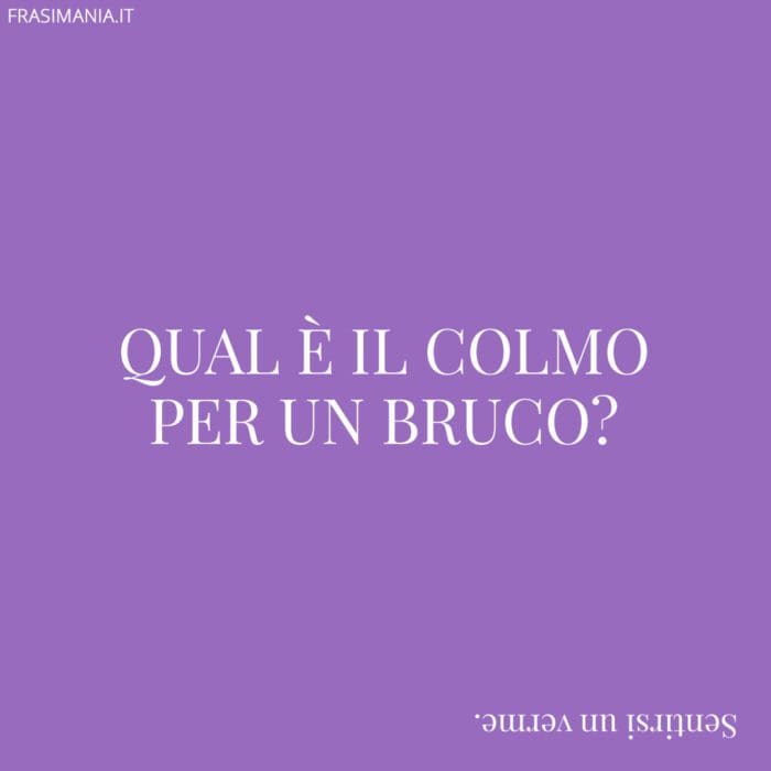 Qual è il colmo per un bruco?