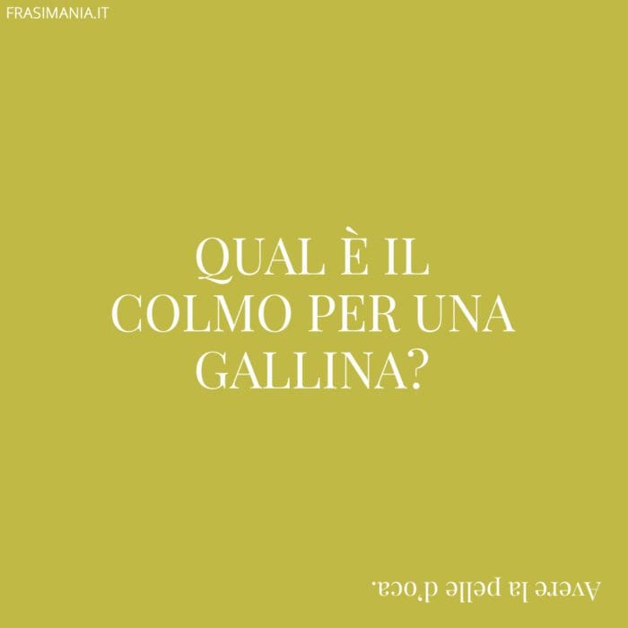 Qual è il colmo per una gallina?