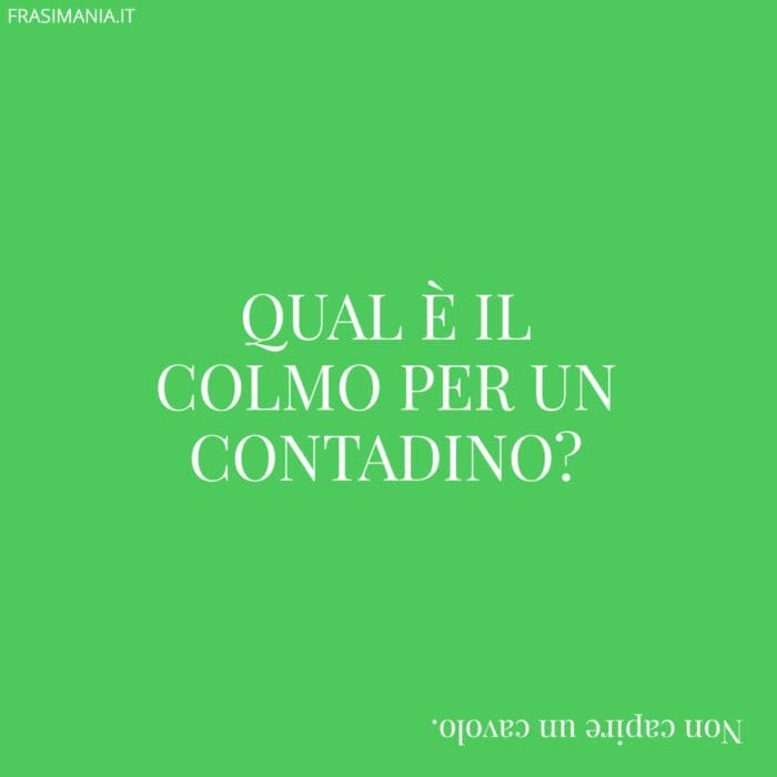 Qual è il colmo per un contadino?