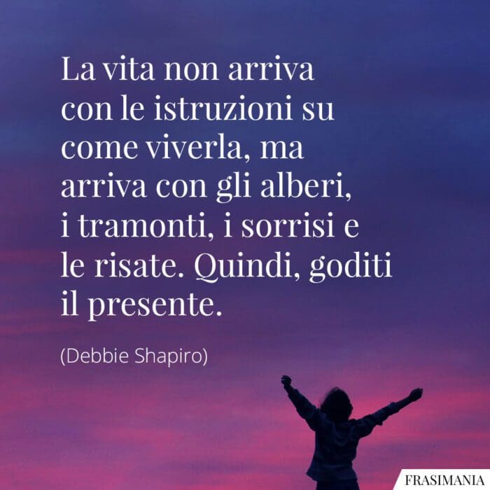 Frasi vita istruzioni goditi presente Shapiro