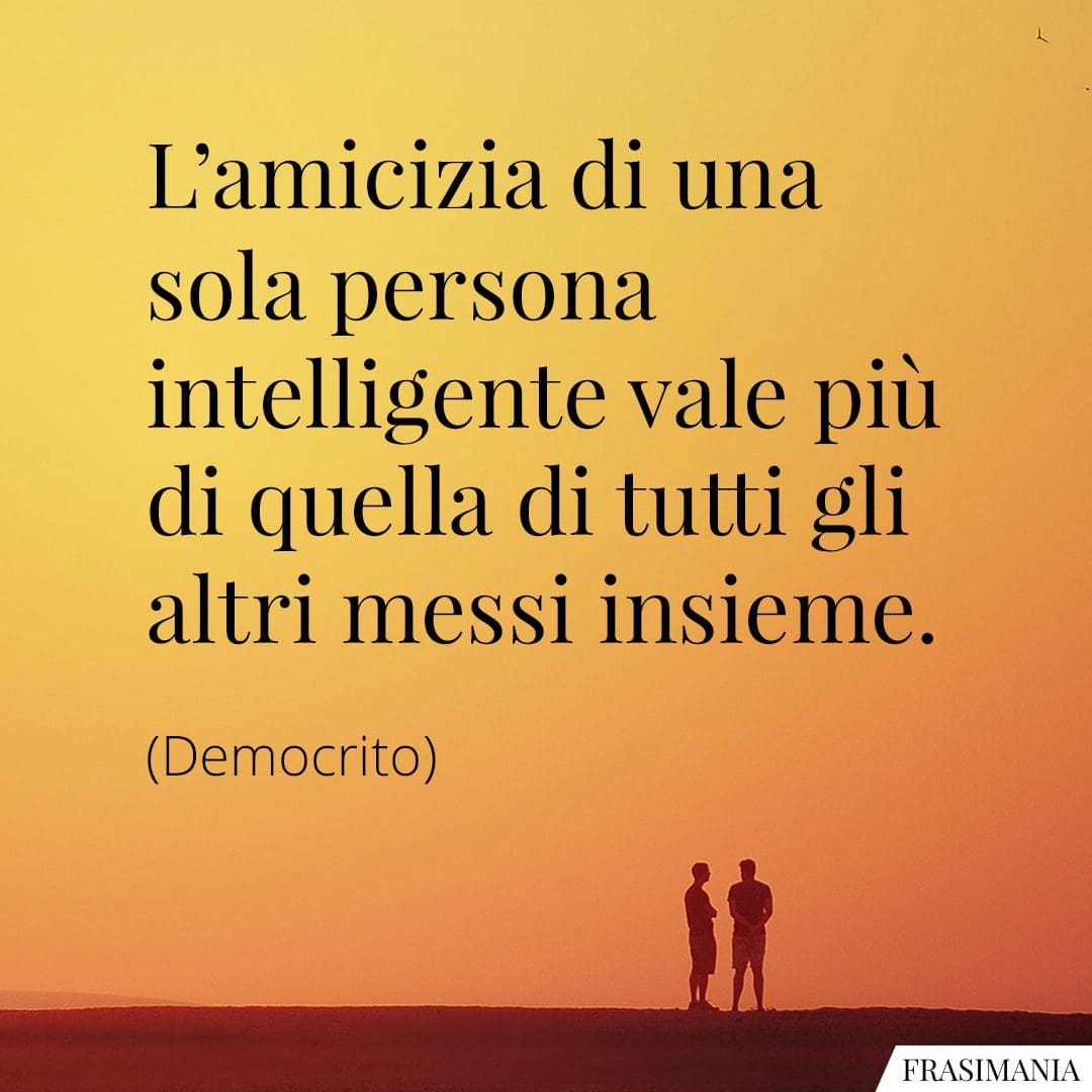 L'amicizia di una sola persona intelligente vale più di quella di tutti gli altri messi insieme.