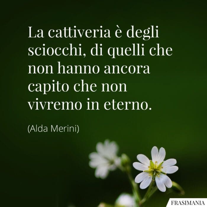 La cattiveria è degli sciocchi, di quelli che non hanno ancora capito che non vivremo in eterno.