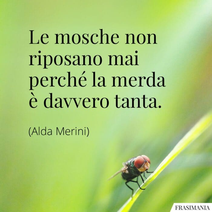 frasi-mosche-merda-merini