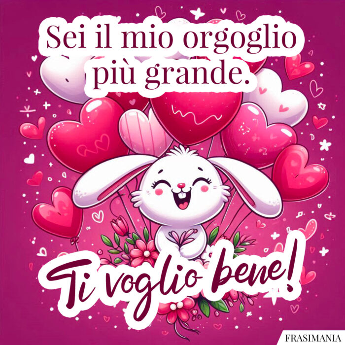 Sei il mio orgoglio più grande. Ti voglio bene!