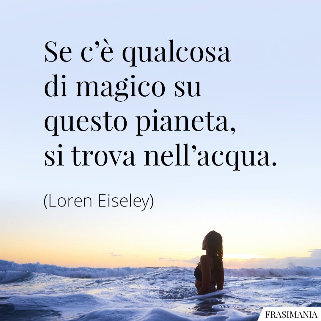 Se c'è qualcosa di magico su questo pianeta, si trova nell'acqua.