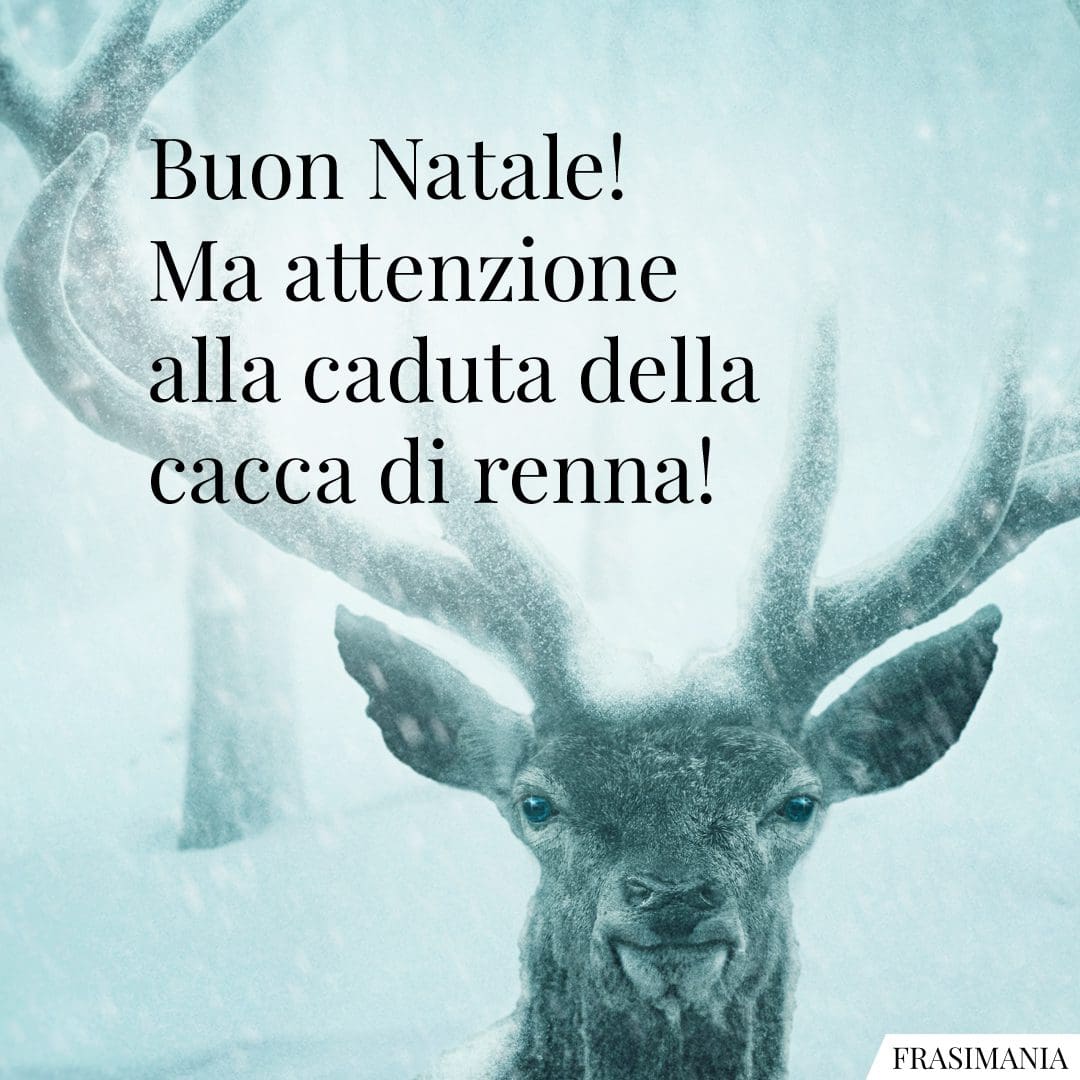 Buon Natale! Ma attenzione alla caduta della cacca di renna!