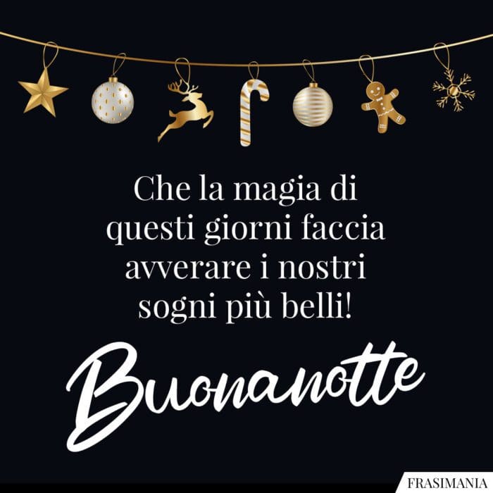 Che la magia di questi giorni faccia avverare i nostri sogni più belli! Buonanotte.