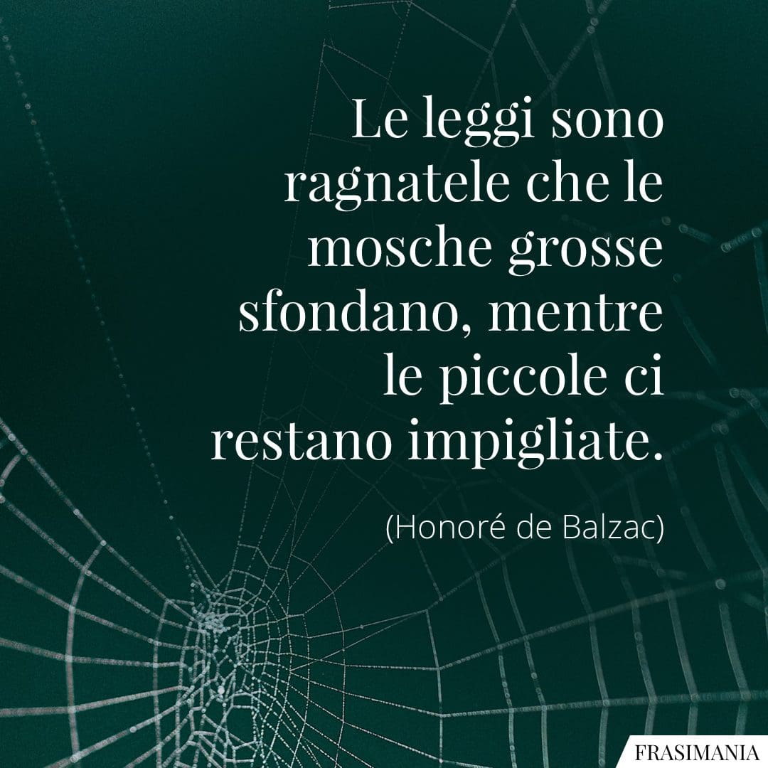 Le leggi sono ragnatele che le mosche grosse sfondano, mentre le piccole ci restano impigliate.