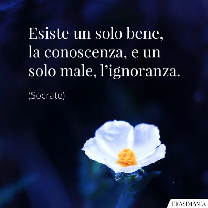 Frasi conoscenza ignoranza Socrate