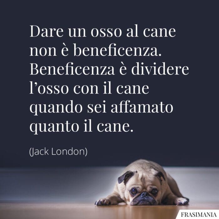 Frasi osso cane beneficienza London