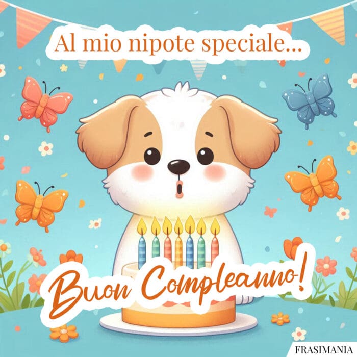 Al mio nipote speciale… Buon Compleanno!