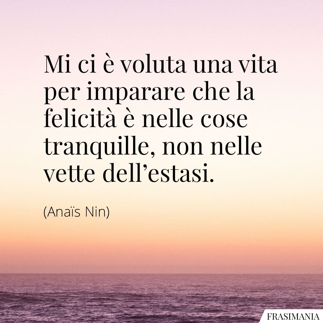 Mi ci è voluta una vita per imparare che la felicità è nelle cose tranquille, non nelle vette dell'estasi.