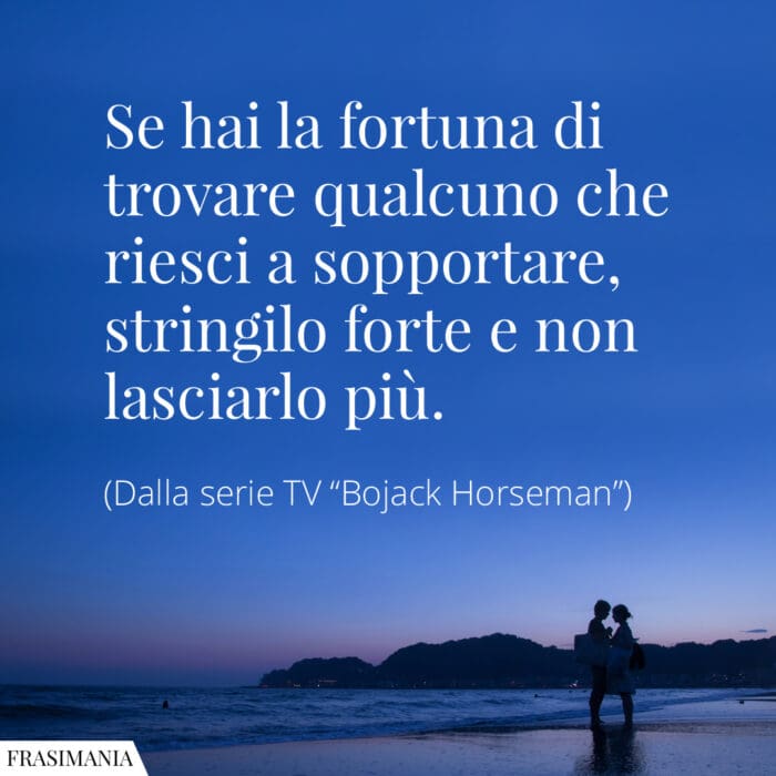 Frasi fortuna trovare Bojack