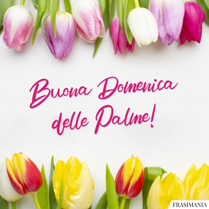 Buona Domenica delle Palme