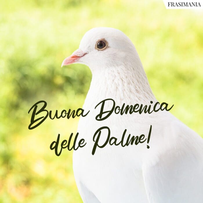 Buona Domenica Palme