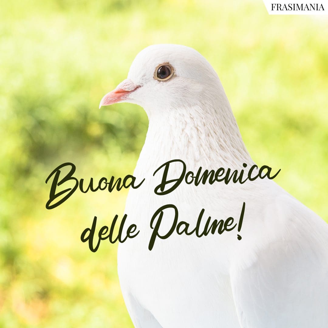 Buona Domenica delle Palme!