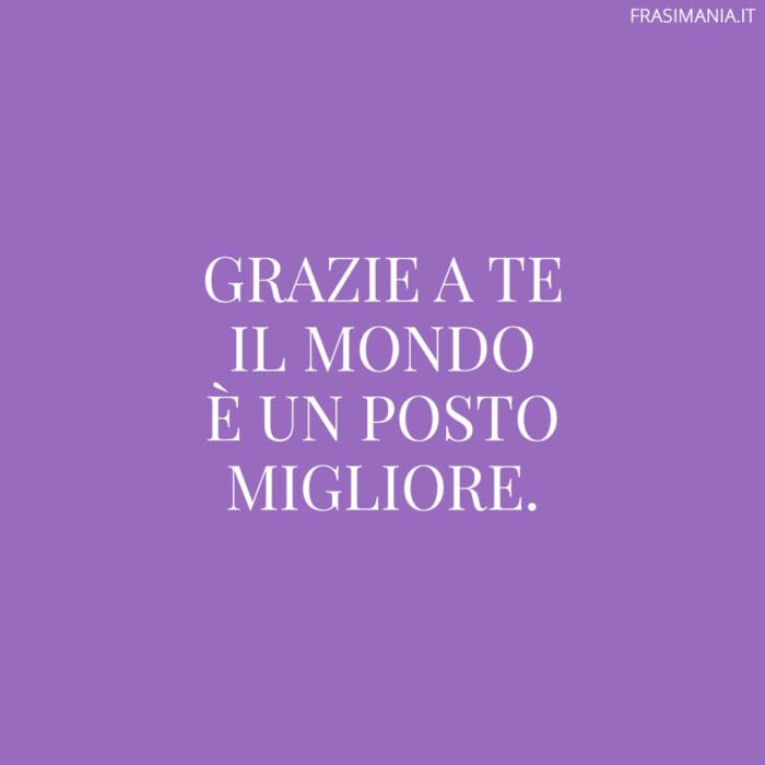 Frasi sei importante grazie