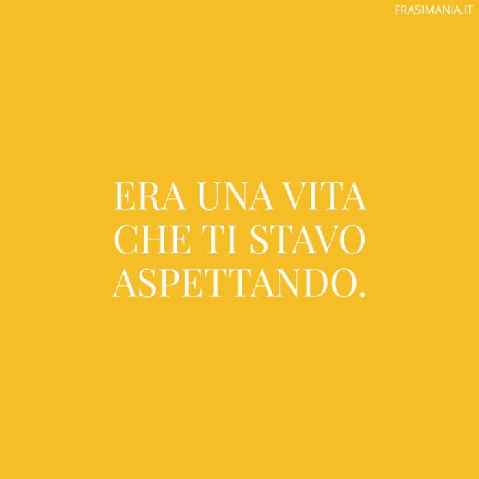 Frasi sei importante vita