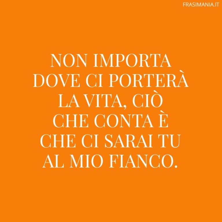 Se Voglio Una Cosa Me La Prendo Frasi
