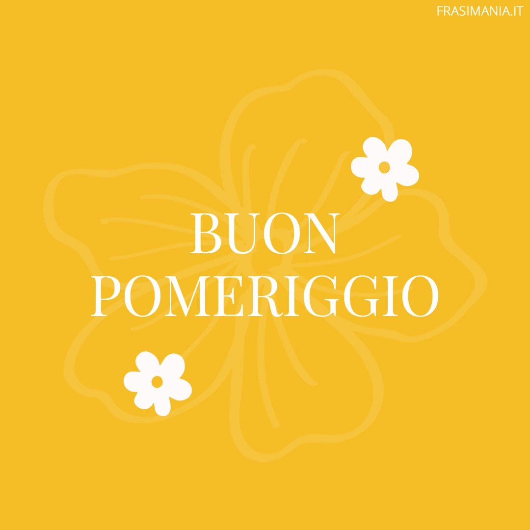 Buon pomeriggio.