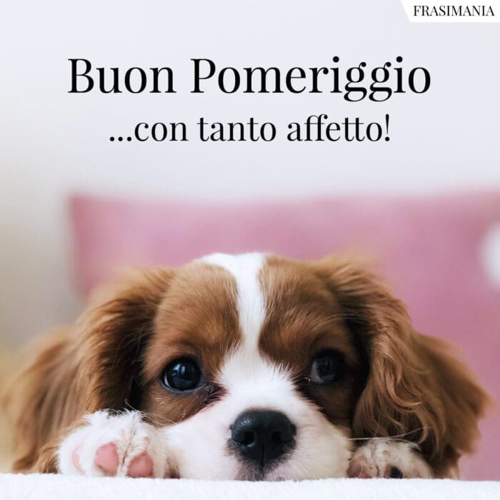 Buon Pomeriggio …con tanto affetto!