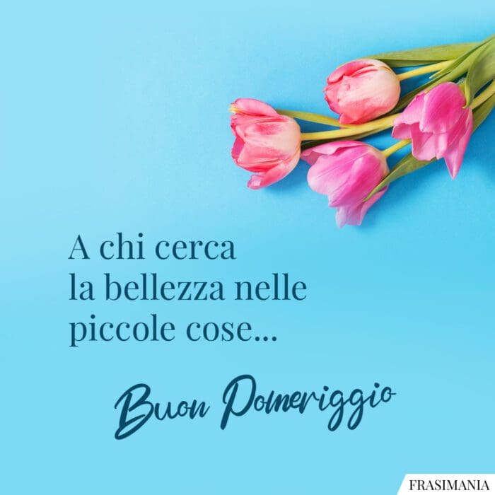A chi cerca la bellezza nelle piccole cose… Buon Pomeriggio.