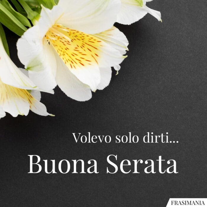 Volevo solo dirti... Buona Serata.