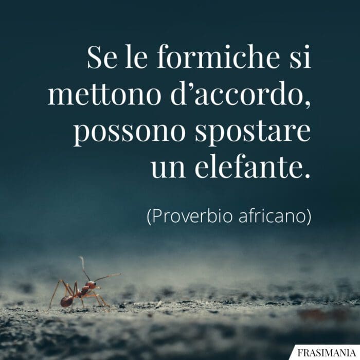 Frasi formiche elefante proverbio africano