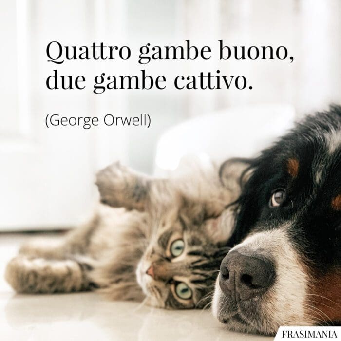 Frasi quattro gambe buono Orwell