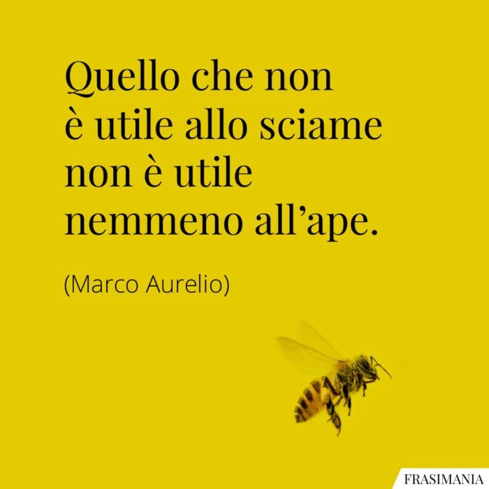 Frasi utile sciame ape Aurelio