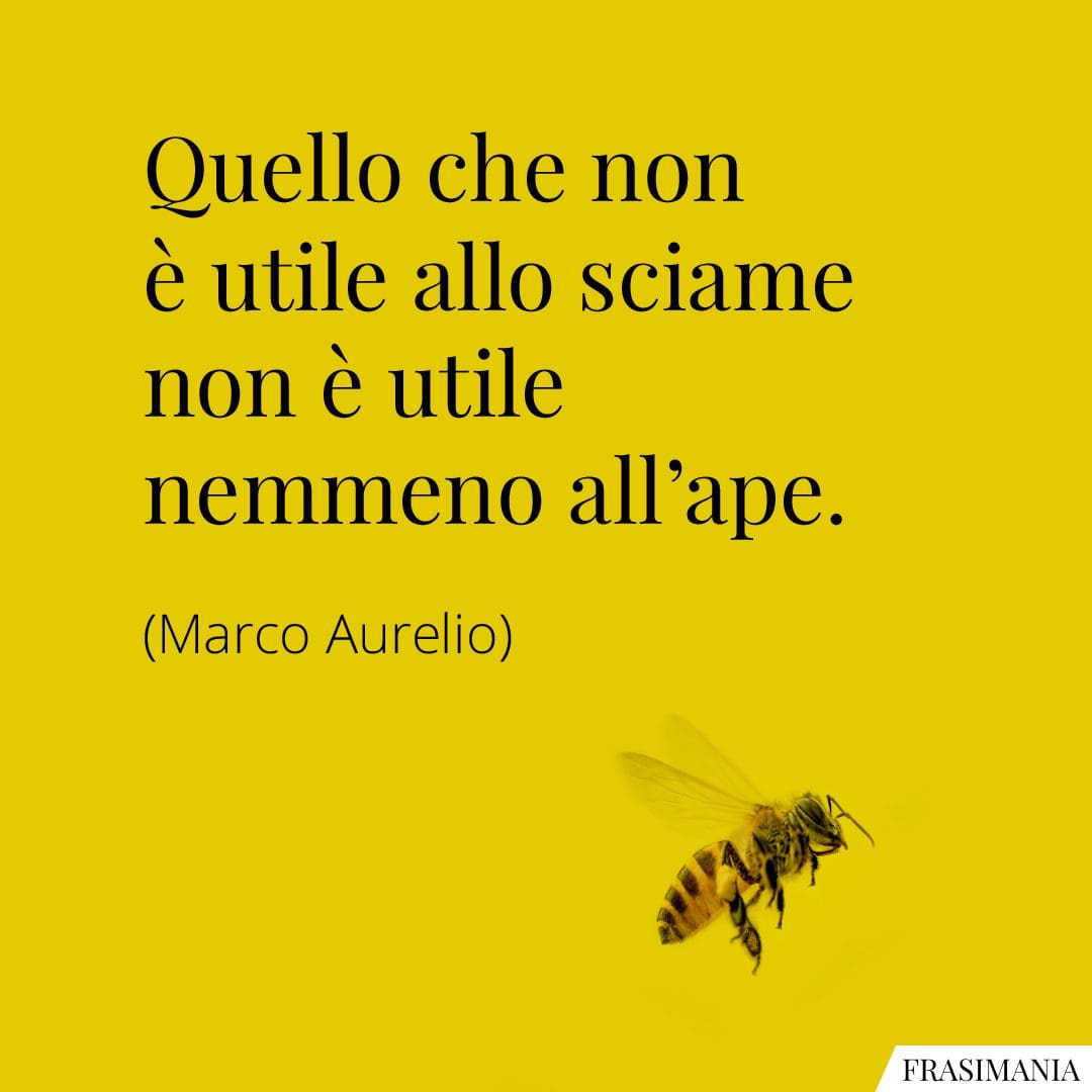 Quello che non è utile allo sciame non è utile nemmeno all'ape.