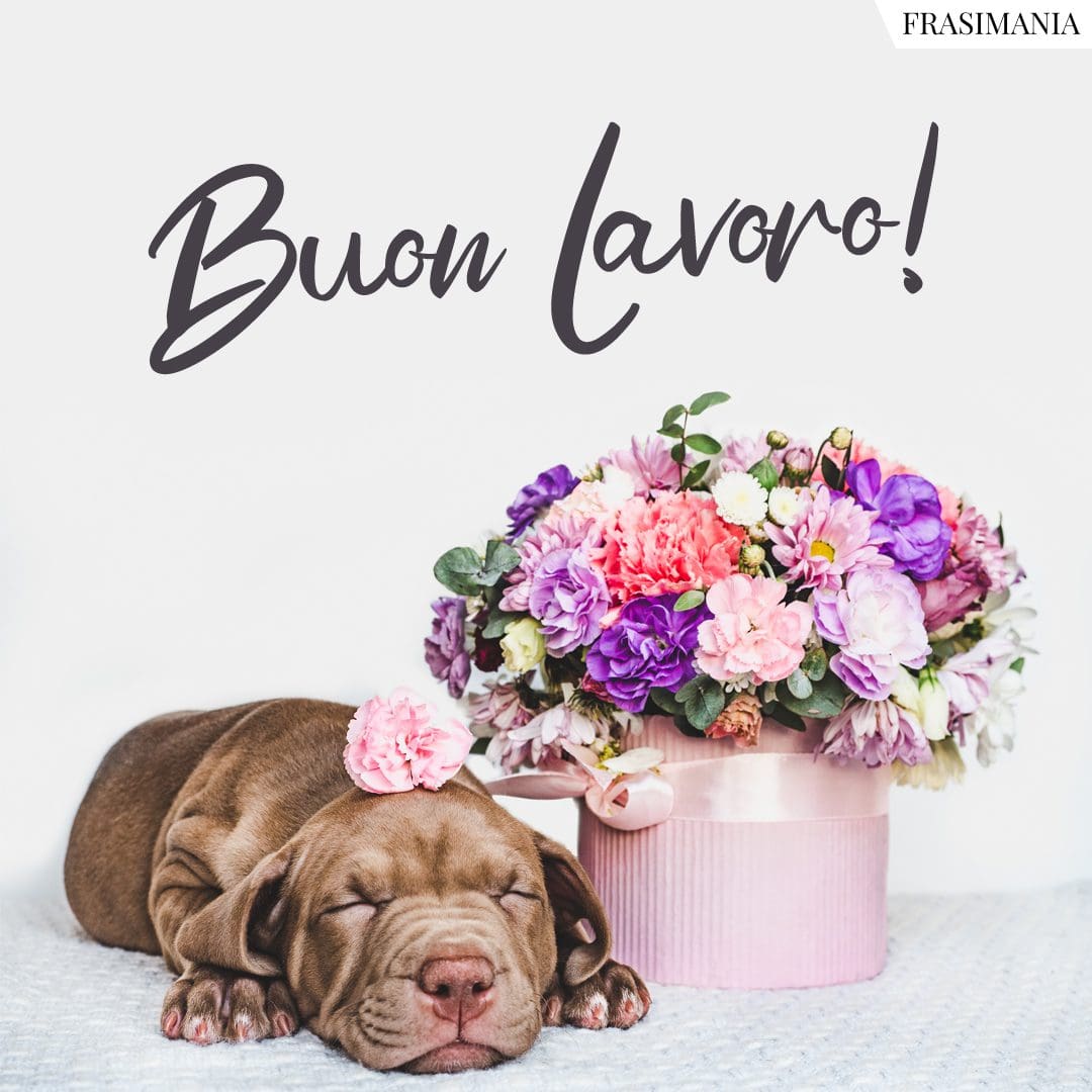 Buon Lavoro!