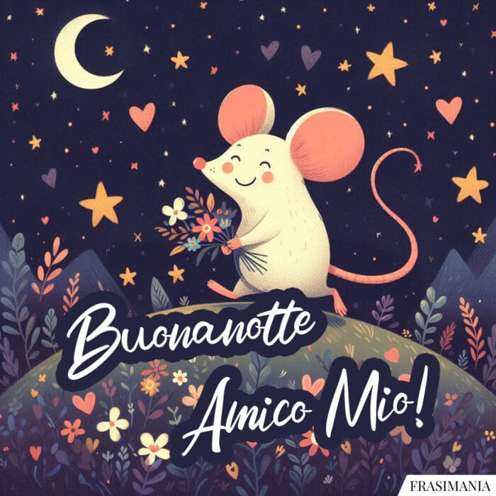 Buonanotte Amico Mio!