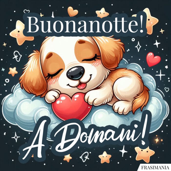 Buonanotte! A Domani!