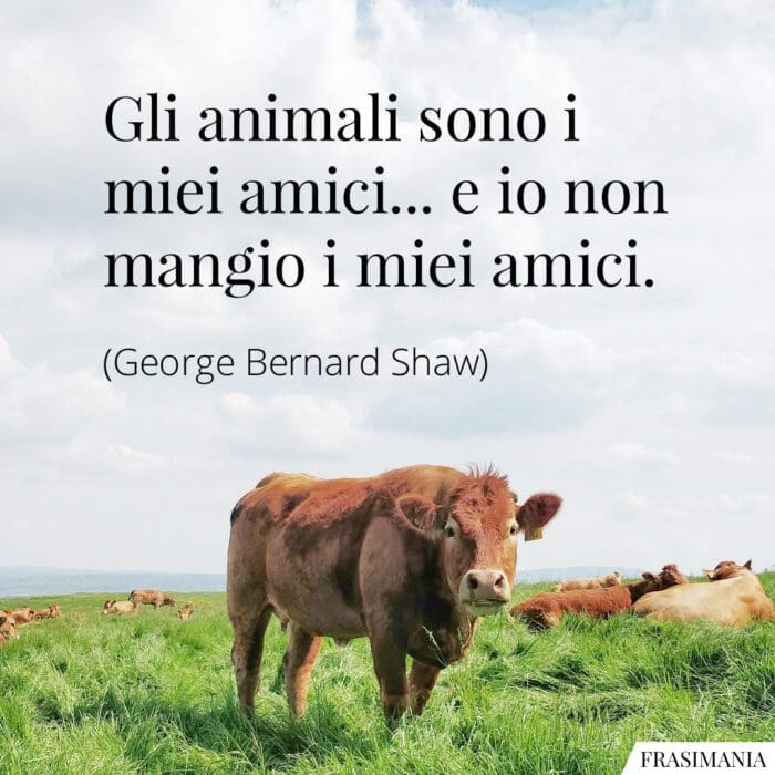 Frasi animali amici mangio Shaw