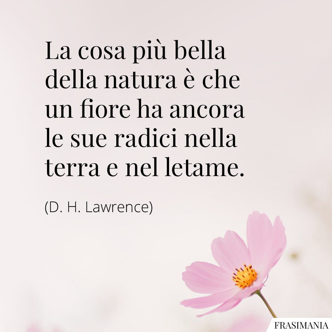 La cosa più bella della natura è che un fiore ha ancora le sue radici nella terra e nel letame.