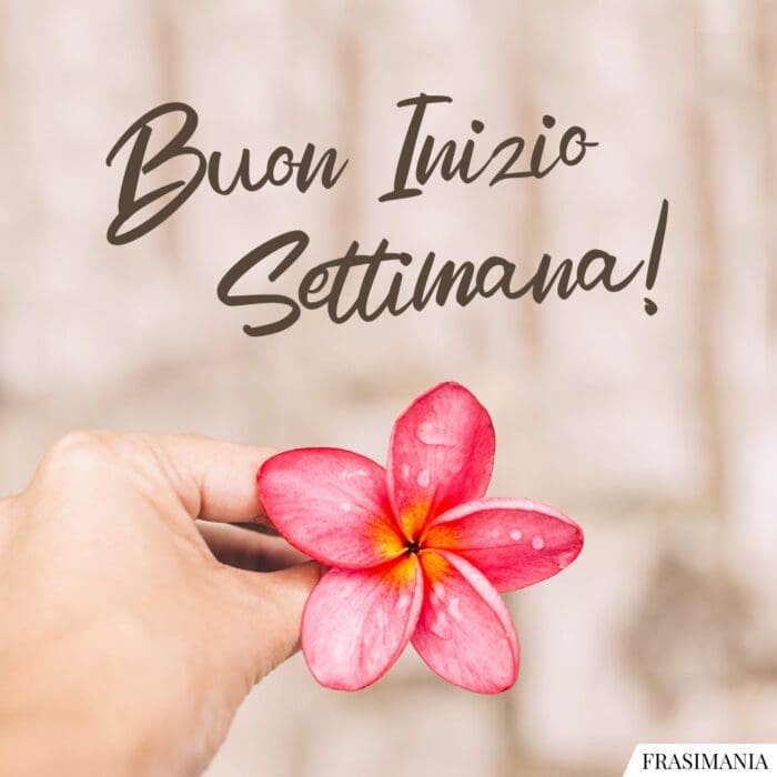 Buon Inizio Settimana! 25 nuove immagini da dedicare (per WhatsApp e  Facebook) | Frasi Mania