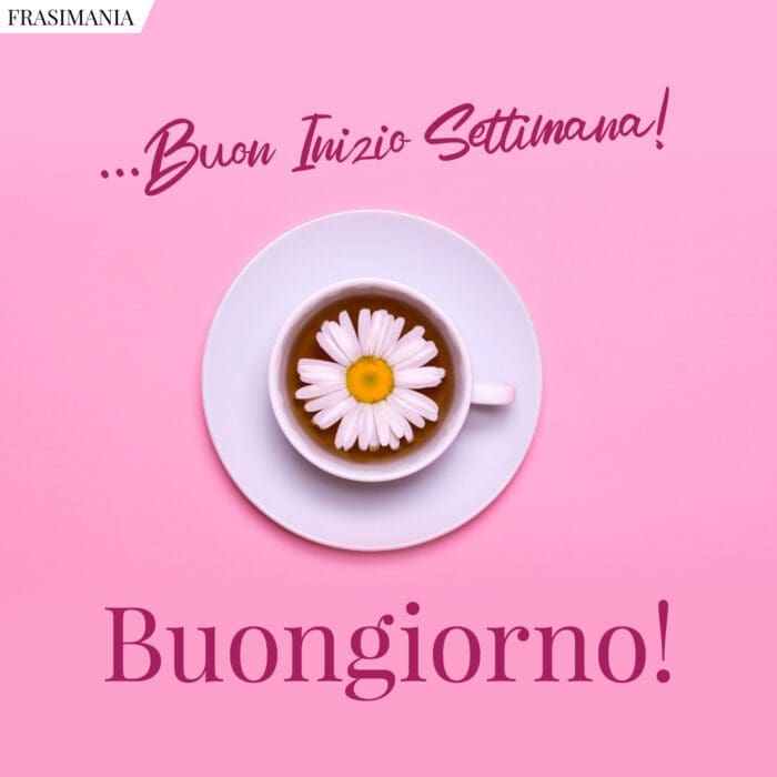 Buon Inizio Settimana! 25 immagini nuove da dedicare (per WhatsApp e  Facebook)