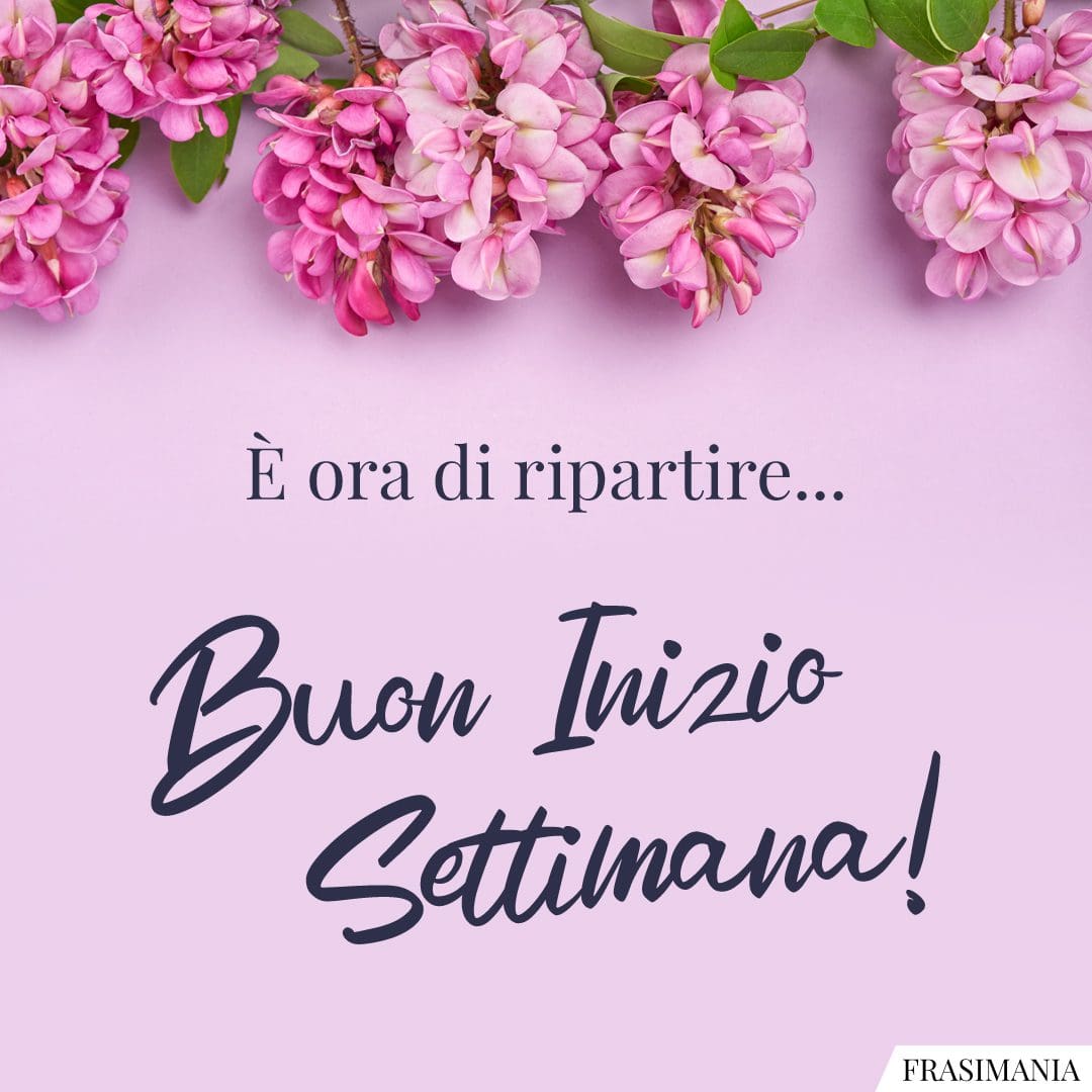 È ora di ripartire... Buon Inizio Settimana!