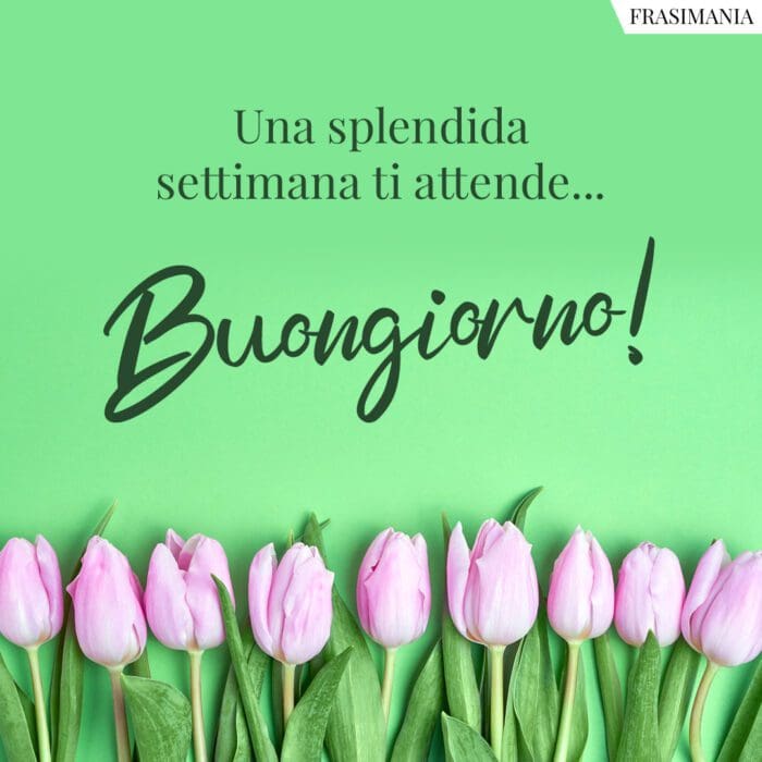 Buongiorno splendida settimana